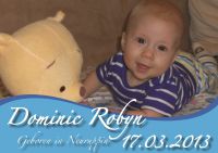 Dominic Robyn 17.03.2013